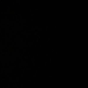 Meet your Posher, Aaliyah